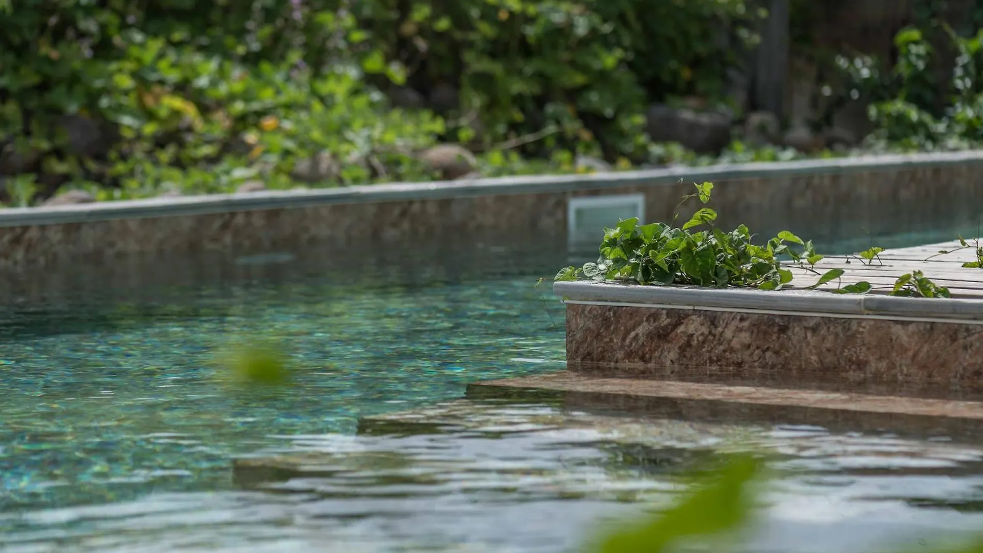 Apartment T3 Moderne Avec Piscine Oasis De Nature Et Serenite Petit-Canal